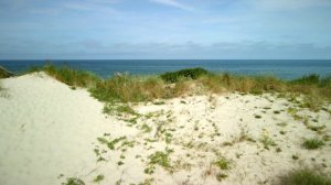 Куршская коса Балтийское море, побережье вид с дрона, Арт с Майей Мандала