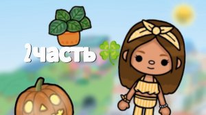 обустройство 2часть/ тока бока