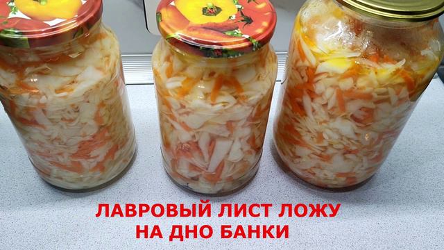 КАПУСТА  СУТОЧНАЯ
