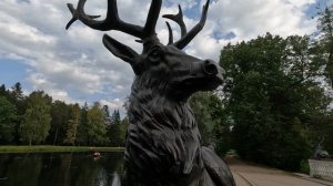 Павловск 2024, Павловский парк