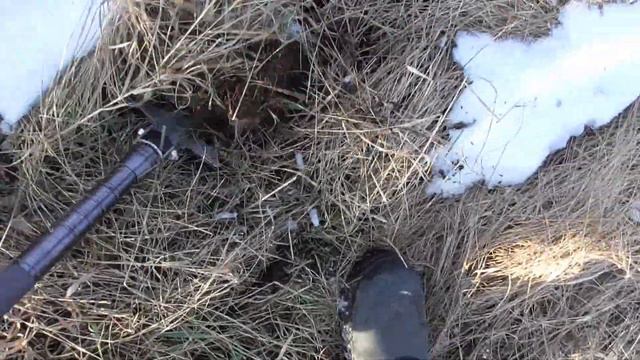 КОП В ПОЛЕ МЕТАЛЛОИСКАТЕЛЕМ И СДАЛИ МЕТАЛЛОЛОМ. ДЕНЬГИ ПОД НОГАМИ!