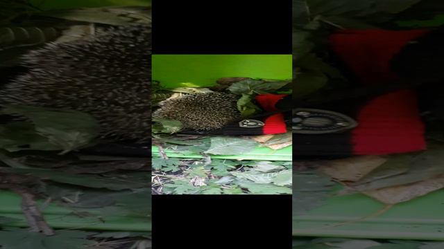 20240912_122149.mp4