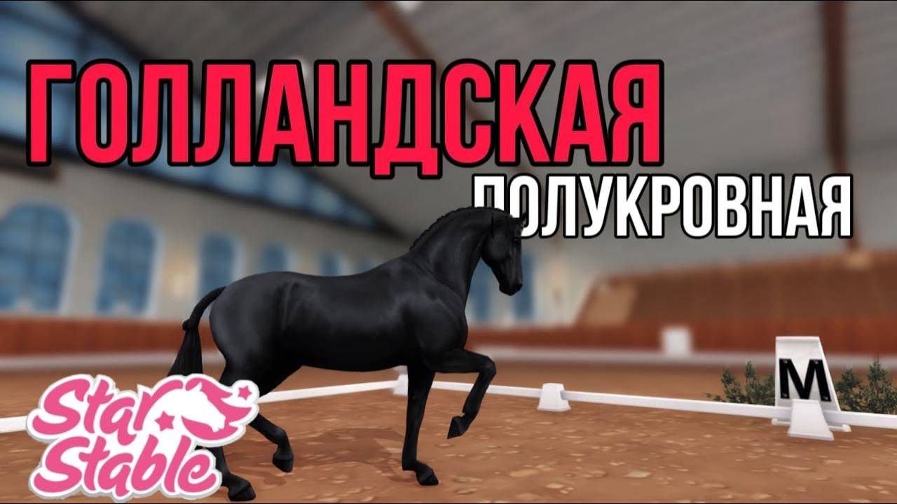 ПОКУПАЕМ ГОЛЛАНДСКУЮ ПОЛУКРОВНУЮ II Star Stable Online смотреть онлайн