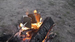 ТРОФЕЙНЫЙ СУДАК! Судак на живца! Вытащил СЫН МИША 9 ЛЕТ! Река ОКА! ВЕЧЕР КОСТЁР!