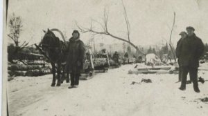 УНЖЛАГ. Тайны приунженских лесов.