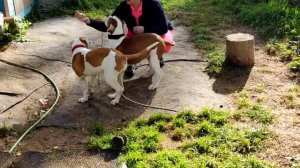 4,5 мес. Внуки "Мото Мото"