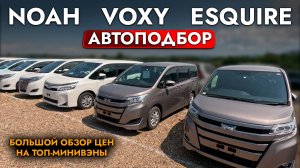 АВТОПОДБОР МИНИВЭНА TOYOTA VOXY I NOAH❗️ Обзор рынка и ЦЕНЫ❗️ АВГУСТ 2024