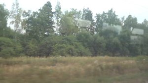 Поездка по большому кольцу МЖД на ЭД4МК-0073. Перегон Ильинский Погост - 88 км