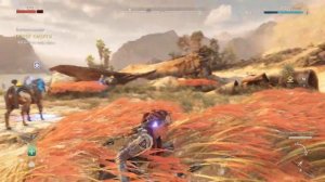 Horizon Forbidden West #2