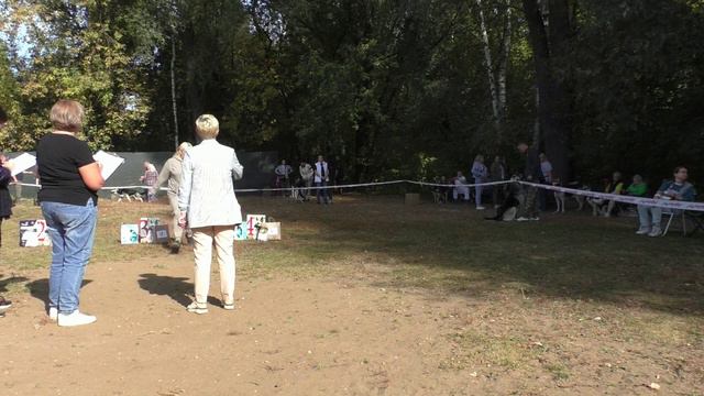 МВ Шерлок