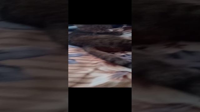 я заболел