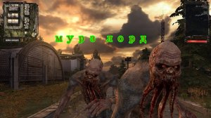 S.T.A.L.K.E.R.: Тень Чернобыля бар 100 рентген часть 12