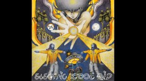 Paranoic Sensations - Vinylling