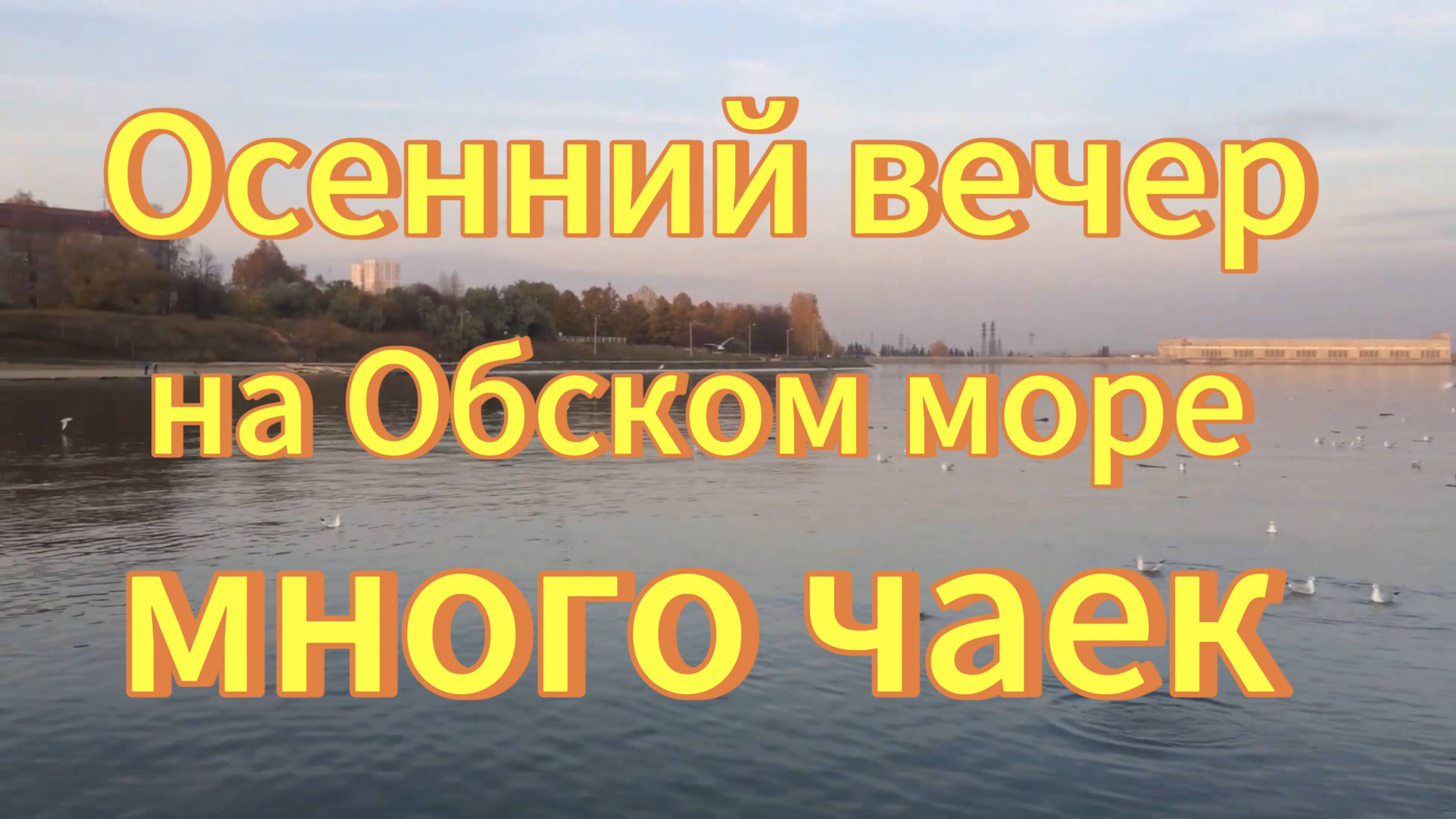 Вечер на Обском море. ОбьГЭС много чаек. Новосибирск.