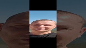 История создания сайта kvashenaya.com