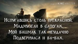 Чепухова чепуха (бред сумасшедшего поэта)