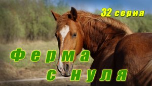 Новая лошадь / Начало лета