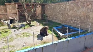 Тебердинский Национальный Парк! Карачаево-Черкесия. д. Теберда.