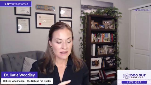 Dog Gut Health Summit Live Q&A Day 2 смотреть онлайн