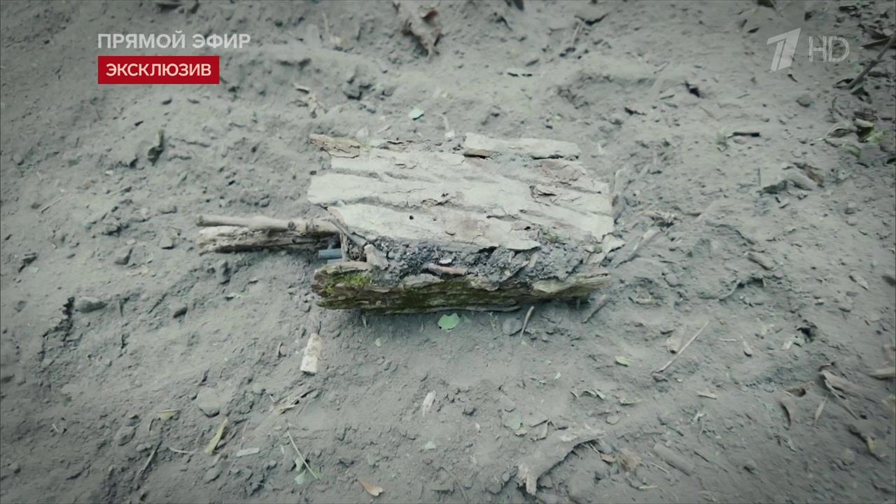 Сапер обезвредил в курском лесу украинскую мину, замаскированную под кору