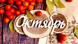 🍁ТАРО ПРОГНОЗ Осень 2024🍁