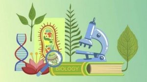 Биология 6 класс. Строение растительной и животной клетки. --