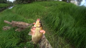 РЫБАЛКА на Старых Карачах ... 10.08 - 11.08 .2024