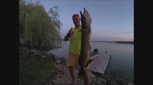 Огромные щуки и окуни гнут и ломают спиннинг