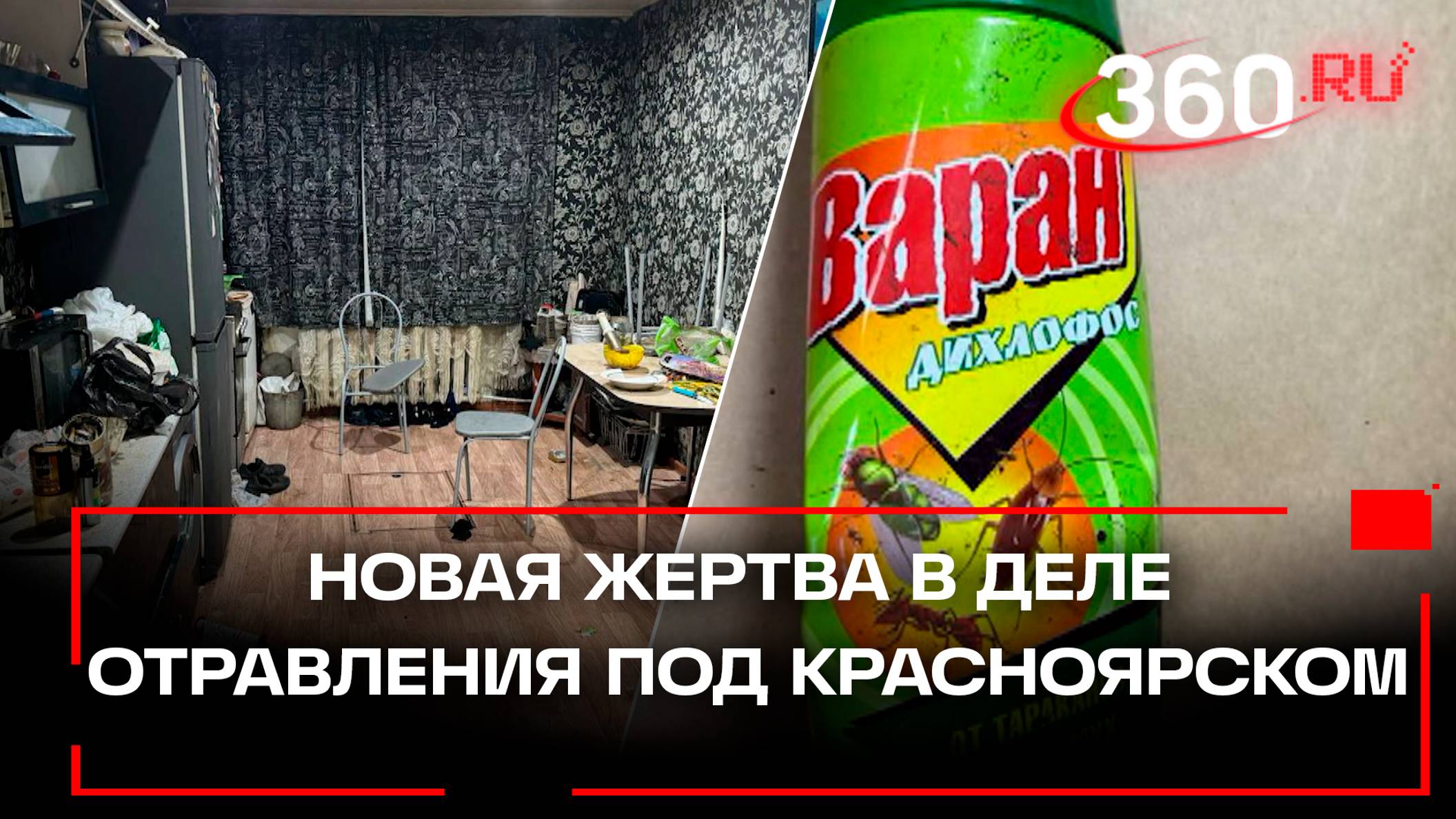 В деле отравления семьи под Красноярском появилась мертвая кошка