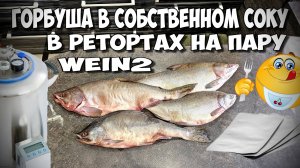 НЕВОЗМОЖНОЕ ВОЗМОЖНО ГОРБУША В СОБСТВЕННОМ СОКУ в Реторт пакетах на ПАРУ в Wein 2