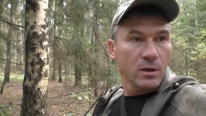 ЗАСУХА! А Я В ЛЕС ПО ГРИБЫ! А грибы то есть в лесу! ЛЕС И ГРИБЫ!