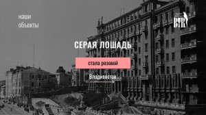 Серая лошадь г. Владивосток реконструкция