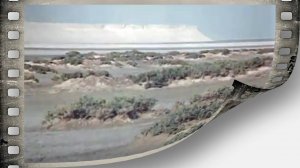 Ожерелье голубки