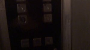 Пассажирский лифт V=0,71 м-с, Q=320 кг (4029)