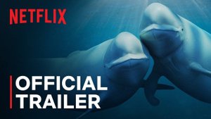 The Documentary Our Oceans - Official Trailer | Netflix