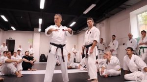 Многофункциональный осаэ укэ или третья конструкция Санчин