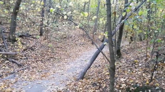 Трюки на бмх Опасность