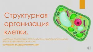Биология (СПО). Структурная организация клетки
