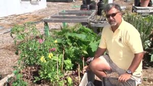 How to Make Sun Shade Covers for Vegetable Gardens