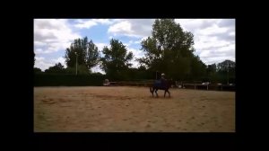 NICO FALCONE - Western Horsemanship CHAMPION!!!!