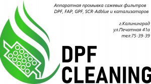 Промывка сажевого фильтра DPF,катализаторов.
