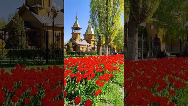Белгород, парк Южный. Belgorod, Yuzhny Park. #белгород  #цветы  #belgorod  #flowers #park #spring