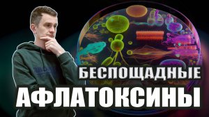 Как нейтрализовать АФЛАТОКСИНЫ? | Рекомендации АЮРВЕДЫ