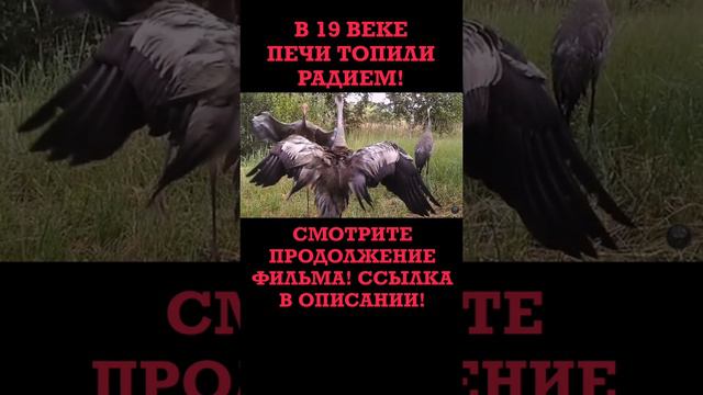 В 19 веке печи топили Радием! смотреть онлайн