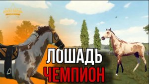 ВЫВОДИМ ЛОШАДЬ-ЧЕМПИОНА II Прохождение Rival Stars 6