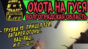 Охота на гуся. Волгоградская область