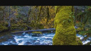 Медитация шум воды