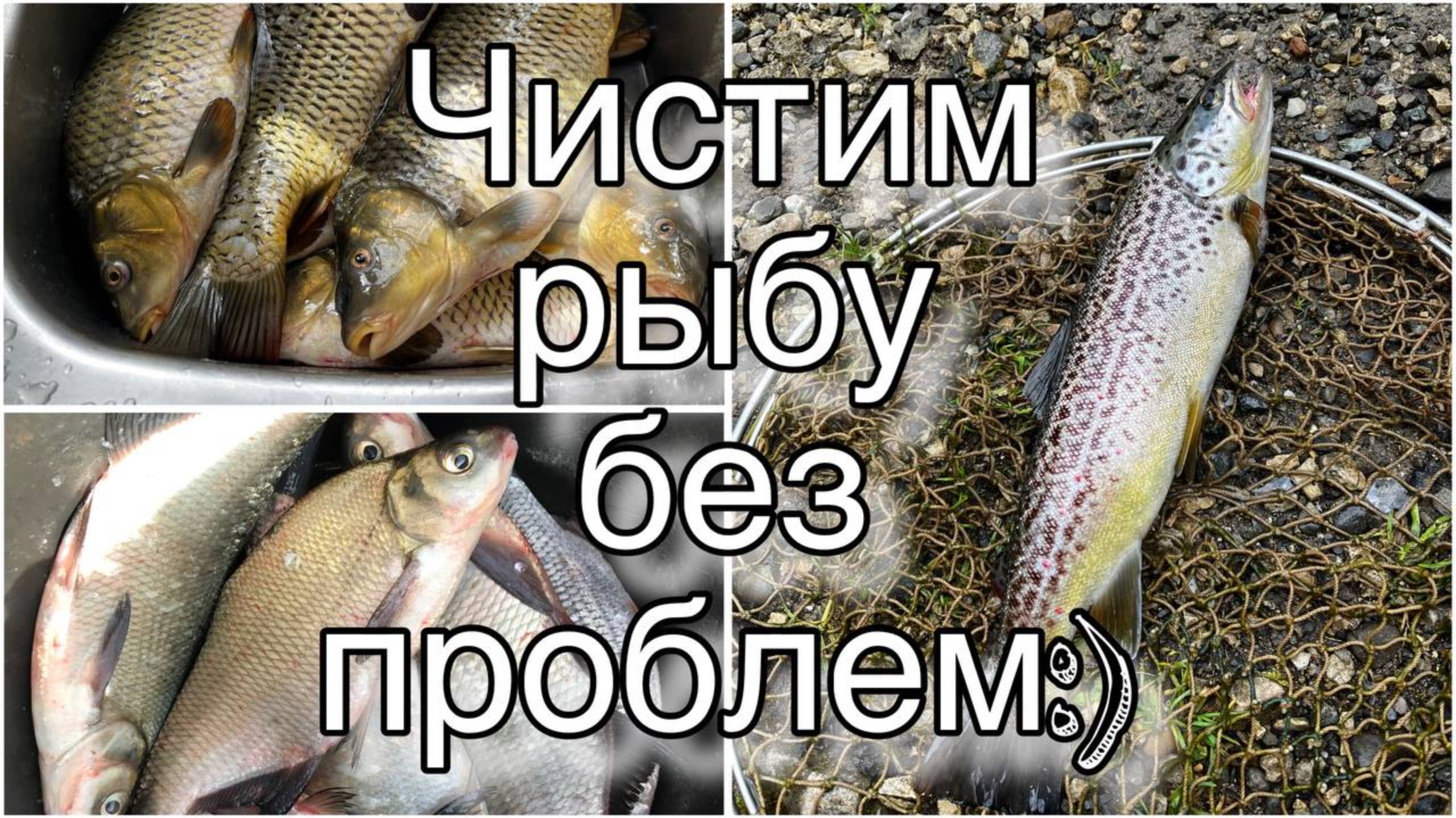 2 ХИТРОСТИ бывалых рыбаков - как без ножа почистить РЫБУ