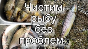 2 ХИТРОСТИ бывалых рыбаков - как без ножа почистить РЫБУ