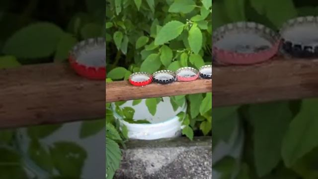 ХИТРОСТИ бывалых рыбаков   как без ножа почистить РЫБУ